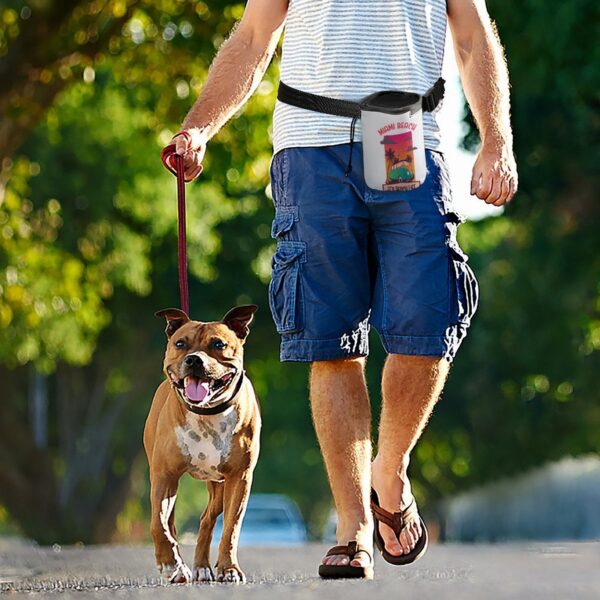 Pet Training Package Miami Beach Its Beach Life White One Size